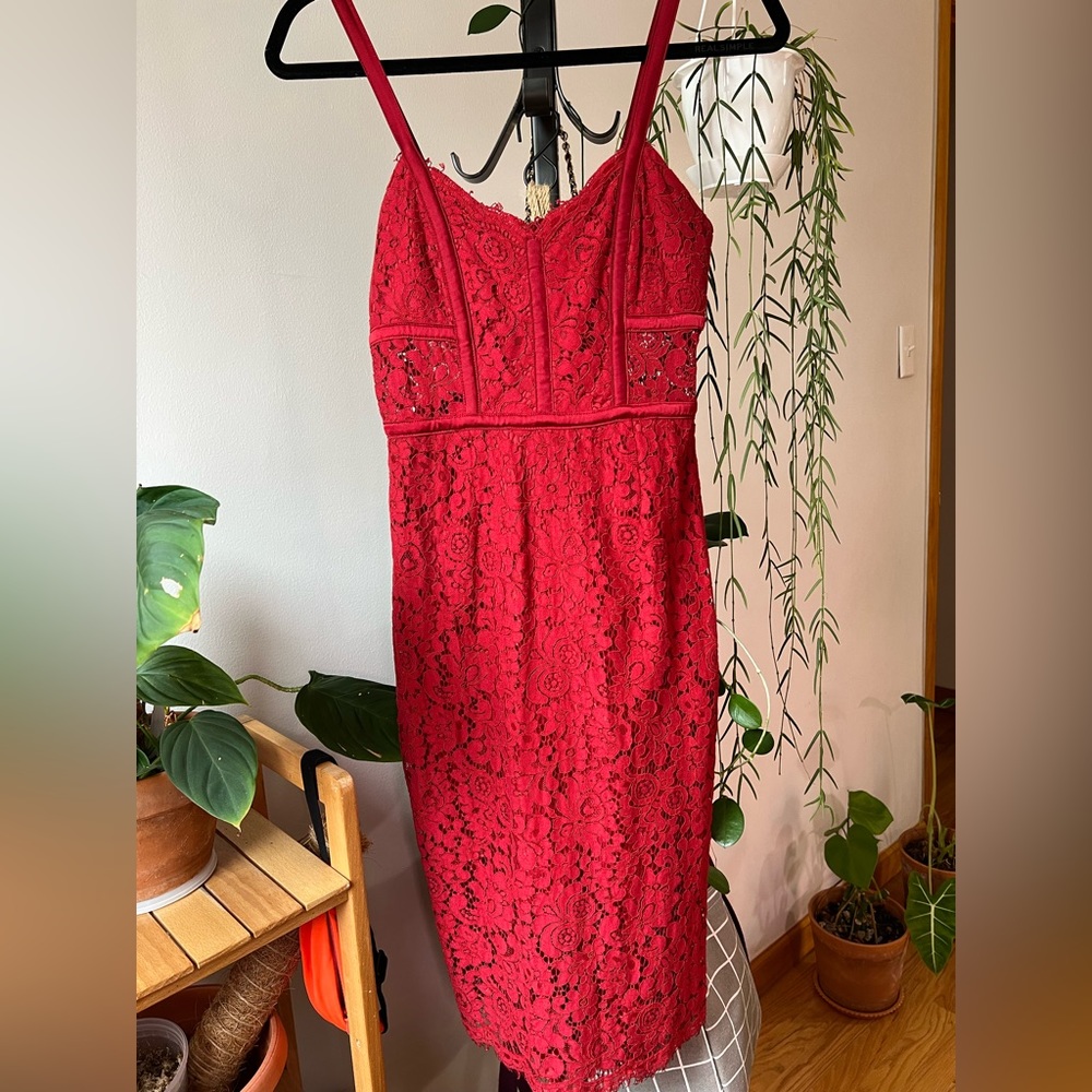 Express Red Lace Dress